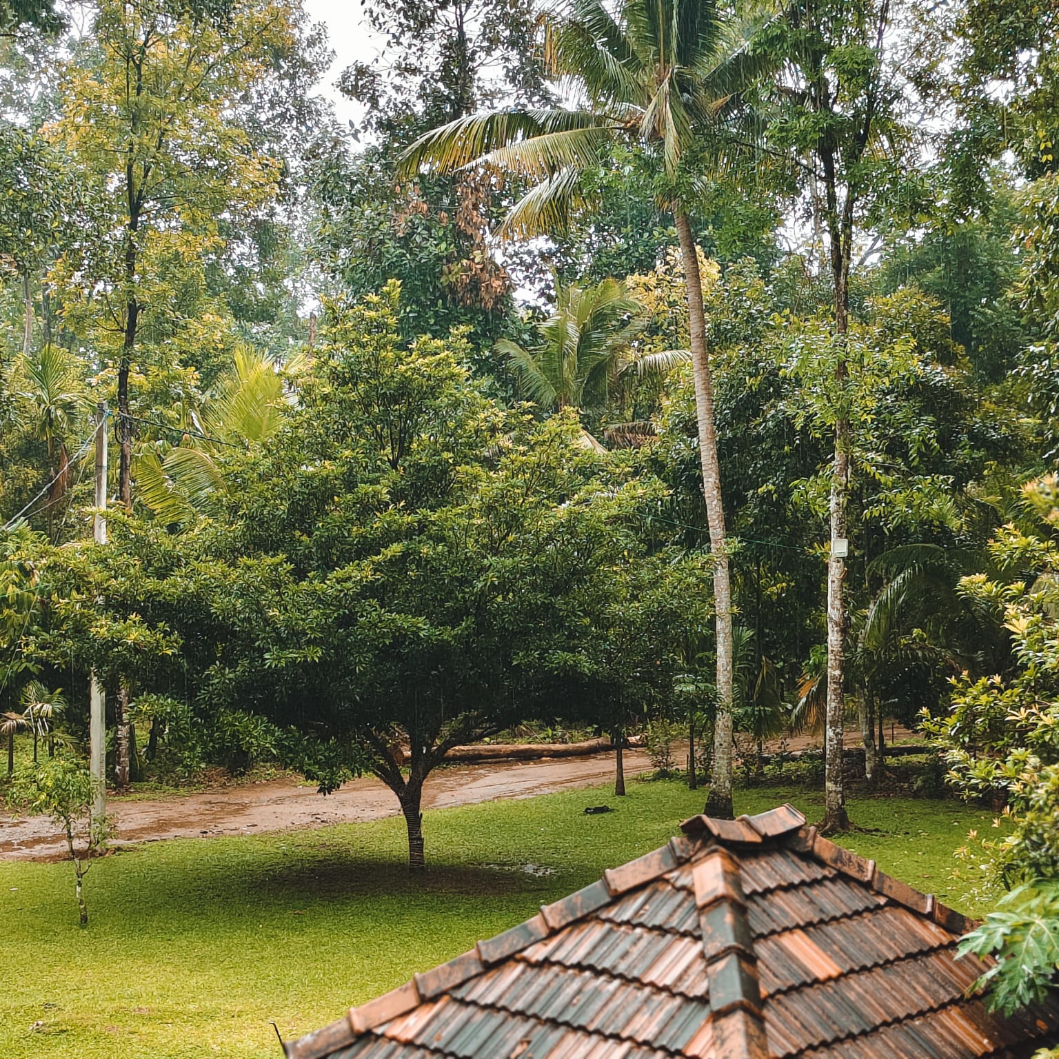Homestay in Thodupuzha with private pool
