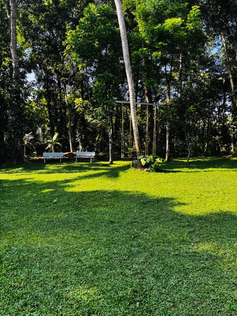 Spacious 10,000 sq ft lawn area