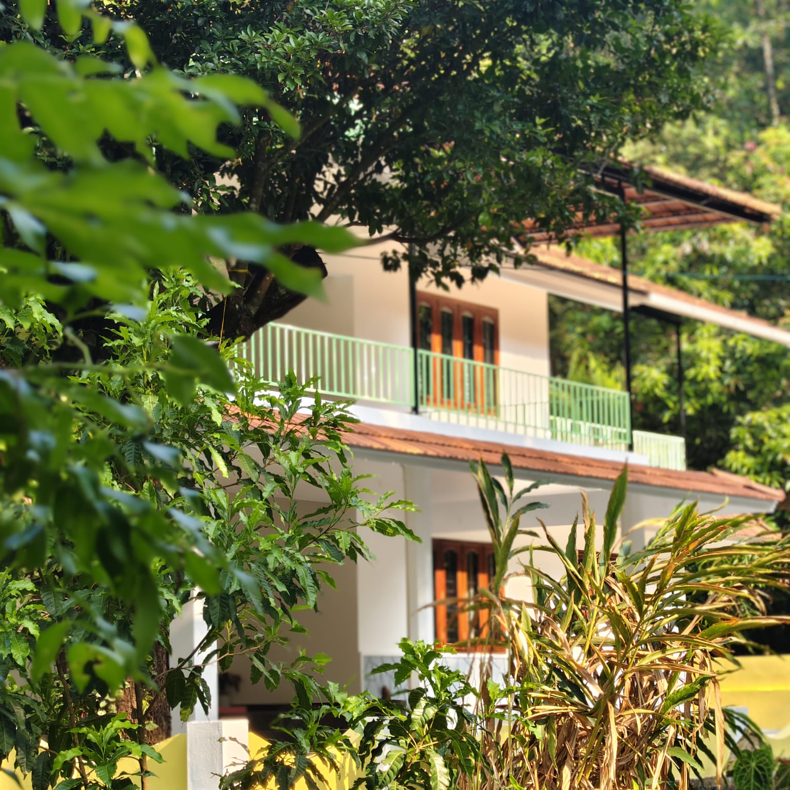 Private property homestay in Karimannoor Kerala